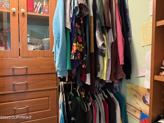 2008 Bickford Cir, Seldovia, AK 99663 - view of walk in closet