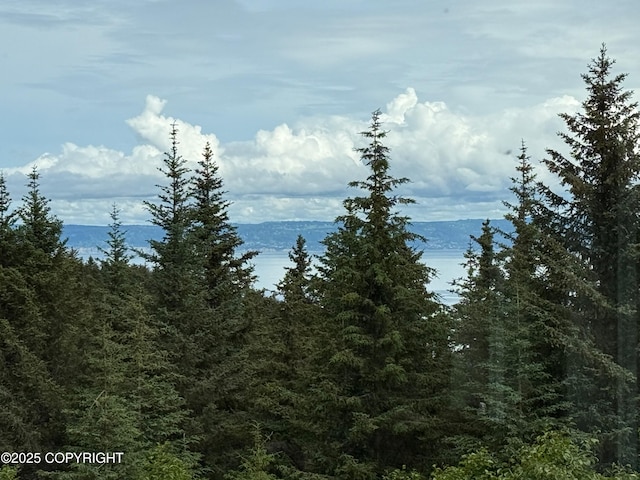 2008 Bickford Cir, Seldovia, AK 99663 - water view with a heavily wooded area
