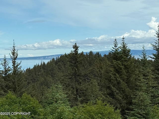 2008 Bickford Cir, Seldovia, AK 99663 - water view with a heavily wooded area