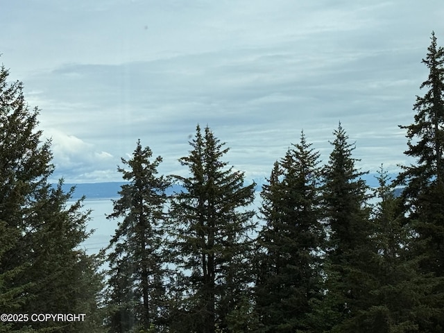2008 Bickford Cir, Seldovia, AK 99663 - mountain view