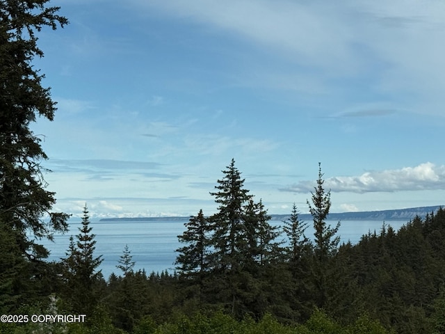 2008 Bickford Cir, Seldovia, AK 99663 - water view featuring a heavily wooded area