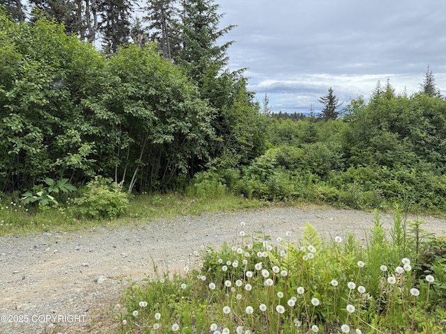 2008 Bickford Cir, Seldovia, AK 99663 - view of local wilderness