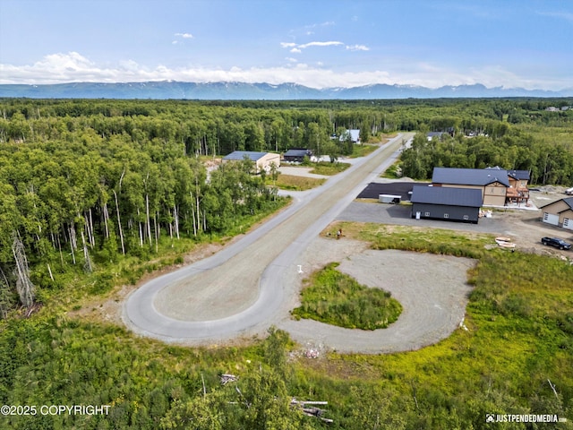 834 W Chigmit Cir, Wasilla, AK 99654