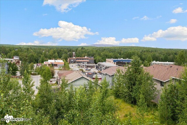 12284 Vista Ridge Loop, Eagle River, AK 99577 - photo 17