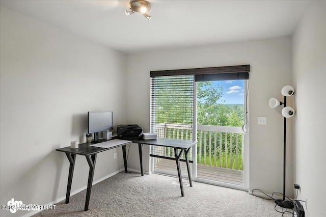 12284 Vista Ridge Loop, Eagle River, AK 99577 - photo 28