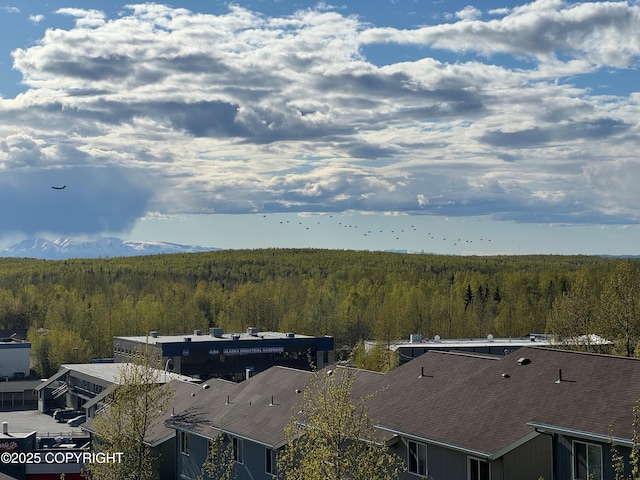 12284 Vista Ridge Loop, Eagle River, AK 99577 - photo 38