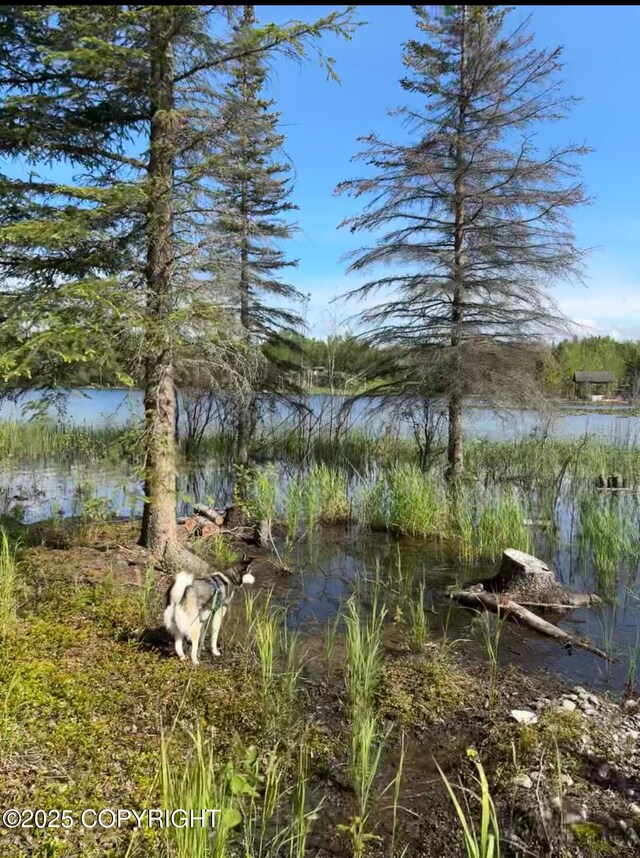 38086 Lakewood Rd, Sterling, AK 99672 - photo 9