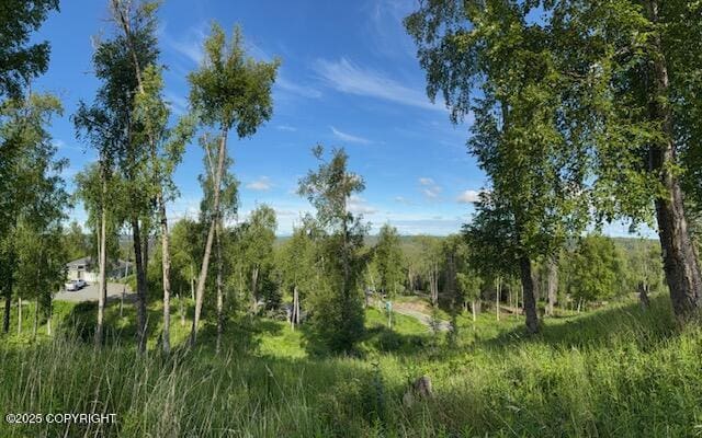 L15-A Gloria Burns Cir, Soldotna, AK 99669