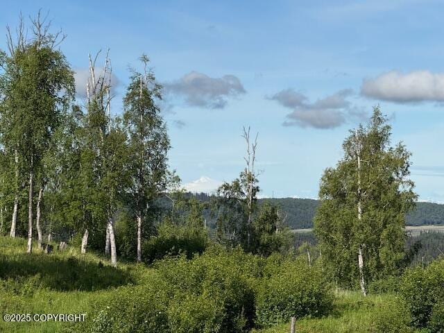 L15-A Gloria Burns Cir, Soldotna, AK 99669