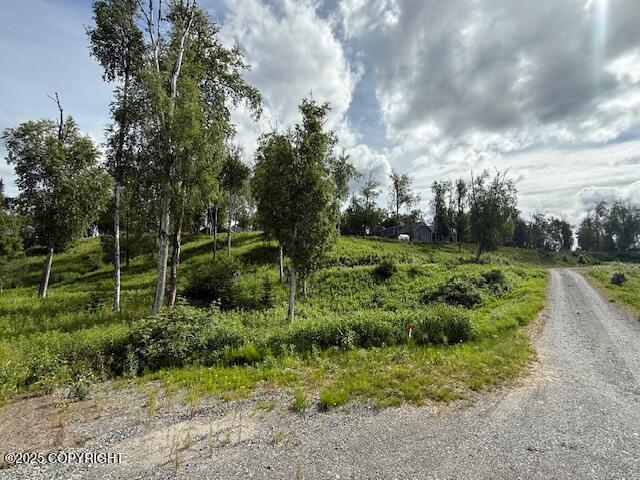 L15-A Gloria Burns Cir, Soldotna, AK 99669