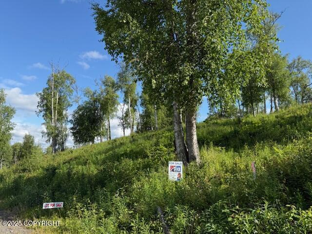 L15-A Gloria Burns Cir, Soldotna, AK 99669