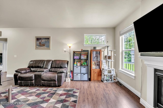 5305 N Caprice Dr, Palmer, AK 99645 - living area with wood finished floors and a fireplace