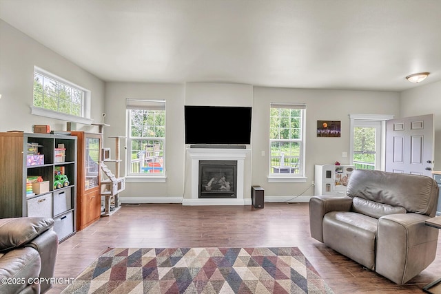 5305 N Caprice Dr, Palmer, AK 99645 - living room with a glass covered fireplace, wood finished floors, and healthy amount of natural light