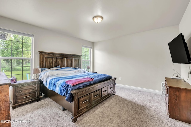 5305 N Caprice Dr, Palmer, AK 99645 - bedroom featuring light carpet and baseboards