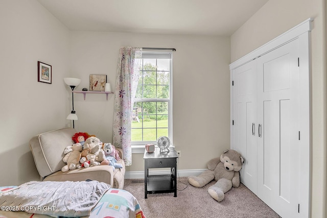 5305 N Caprice Dr, Palmer, AK 99645 - carpeted bedroom featuring multiple windows