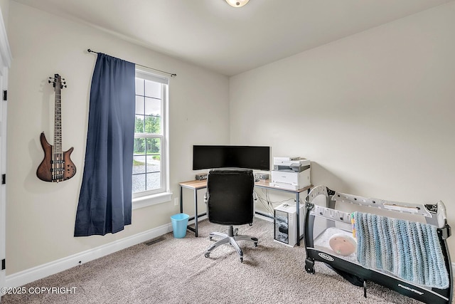 5305 N Caprice Dr, Palmer, AK 99645 - home office featuring carpet floors and baseboards
