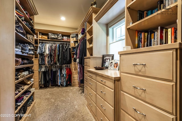 17237 E Smith Rd, Palmer, AK 99645 - spacious closet featuring carpet