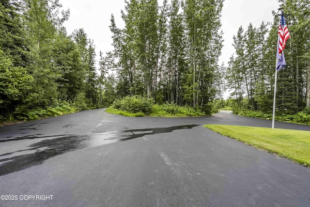 17237 E Smith Rd, Palmer, AK 99645 - view of road
