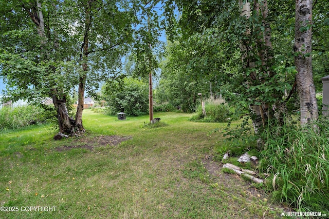 191 E Riley Ave, Wasilla, AK 99654 - photo 50
