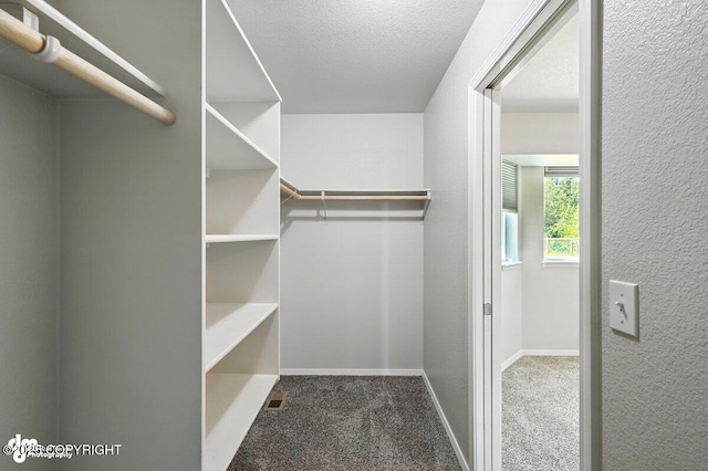 3098 N Lazy Aurora Cir, Palmer, AK 99645 - spacious closet with carpet floors