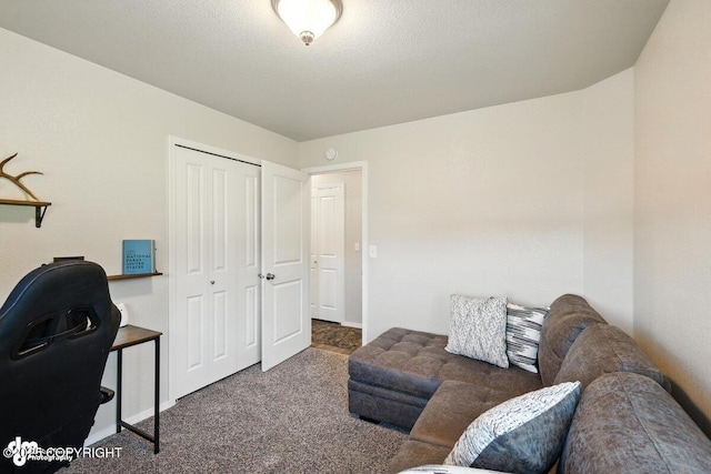 3098 N Lazy Aurora Cir, Palmer, AK 99645 - office space featuring carpet floors