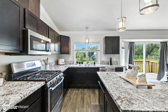 3098 N Lazy Aurora Cir, Palmer, AK 99645 - kitchen featuring stainless steel appliances, ornamental molding, healthy amount of natural light, and light stone countertops