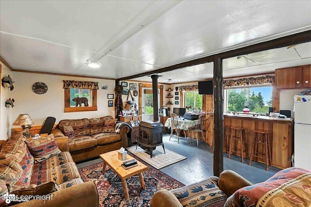 57541 Clam Diggers Ave, Clam Gulch, AK 99568 - living room with a wood stove and wood finished floors