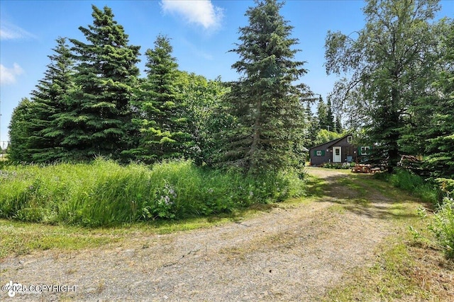 57541 Clam Diggers Ave, Clam Gulch, AK 99568 - view of dirt / gravel road