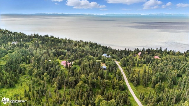 57541 Clam Diggers Ave, Clam Gulch, AK 99568 - bird's eye view of a heavily wooded area