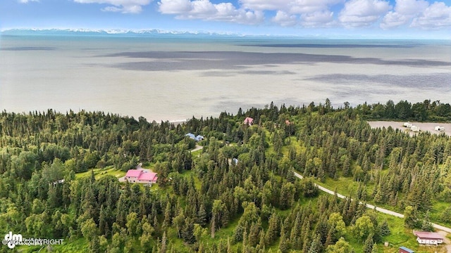 57541 Clam Diggers Ave, Clam Gulch, AK 99568 - drone / aerial view of a heavily wooded area