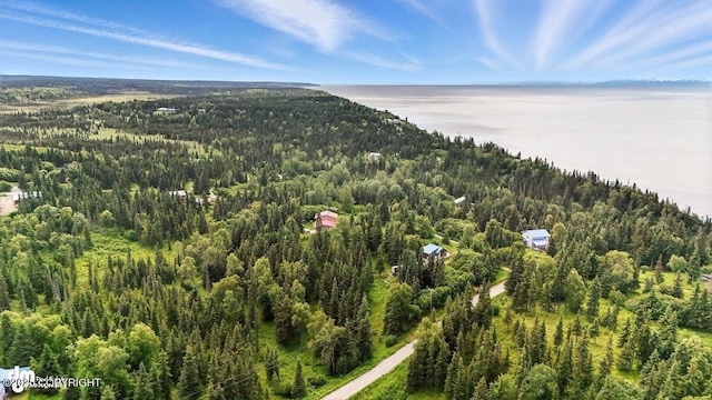 57541 Clam Diggers Ave, Clam Gulch, AK 99568 - drone / aerial view of a heavily wooded area