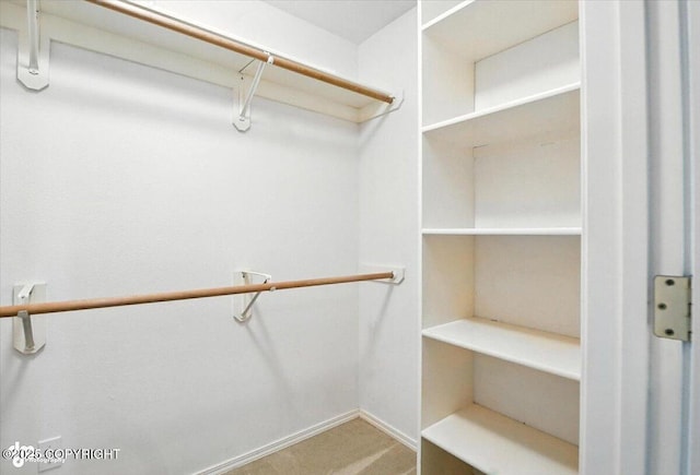 7851 Alpine View Cir, Anchorage, AK 99507 - spacious closet with carpet flooring