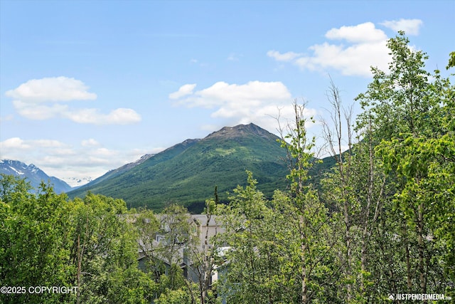 9166 Eagle River Ln, Eagle River, AK 99577 - view of mountain background