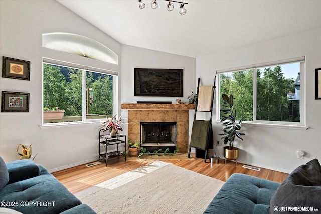 9166 Eagle River Ln, Eagle River, AK 99577 - living room with healthy amount of natural light, wood finished floors, a fireplace, and lofted ceiling