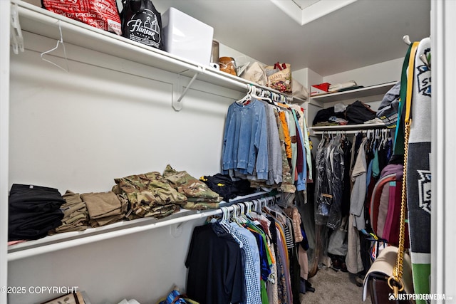 9166 Eagle River Ln, Eagle River, AK 99577 - spacious closet with carpet