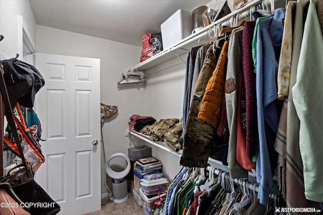 9166 Eagle River Ln, Eagle River, AK 99577 - spacious closet with carpet flooring