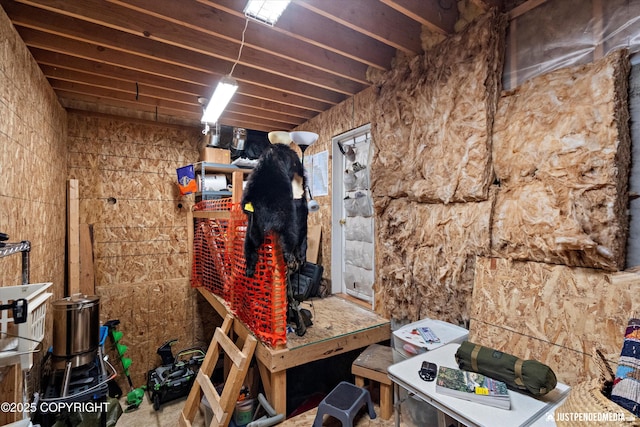 9166 Eagle River Ln, Eagle River, AK 99577 - view of storage room