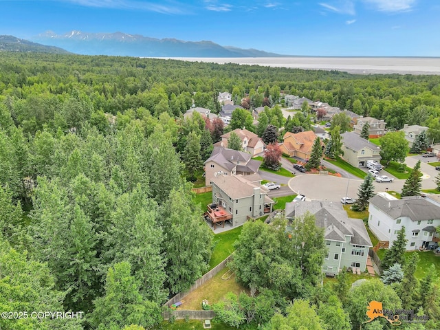 3931 Moonstar Cir, Anchorage, AK 99516 - aerial perspective of suburban area with a forest and a mountain backdrop