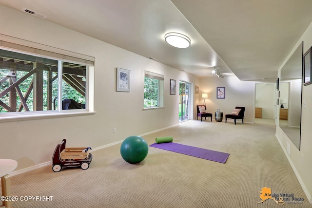 3931 Moonstar Cir, Anchorage, AK 99516 - exercise room featuring carpet flooring