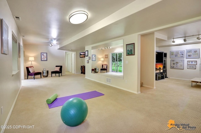 3931 Moonstar Cir, Anchorage, AK 99516 - workout area with carpet floors and rail lighting