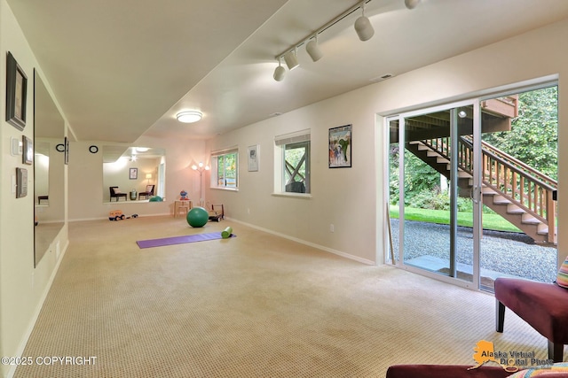 3931 Moonstar Cir, Anchorage, AK 99516 - workout area featuring rail lighting and carpet flooring