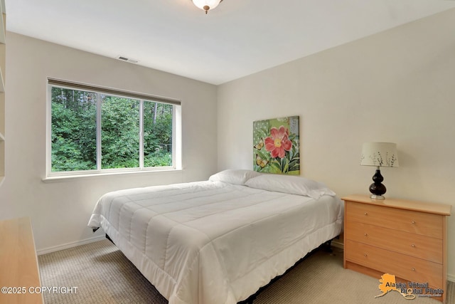 3931 Moonstar Cir, Anchorage, AK 99516 - bedroom with baseboards and light colored carpet