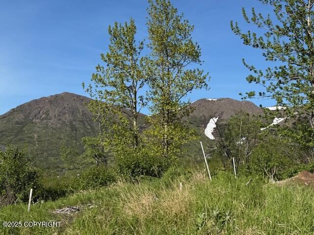 16345 Snow Bear Dr, Anchorage, AK 99516