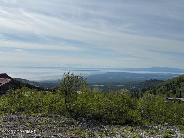 16345 Snow Bear Dr, Anchorage, AK 99516