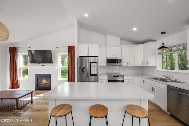 1460 E Esty Dr, Palmer, AK 99645 - kitchen featuring stainless steel appliances, open floor plan, vaulted ceiling, light wood-style floors, and a breakfast bar