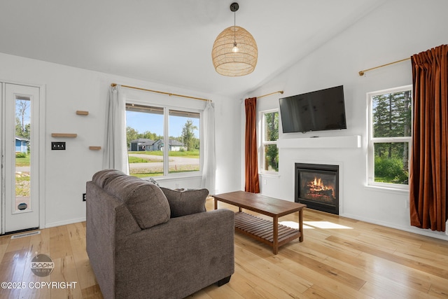 1460 E Esty Dr, Palmer, AK 99645 - living room with a glass covered fireplace, vaulted ceiling, and light wood finished floors