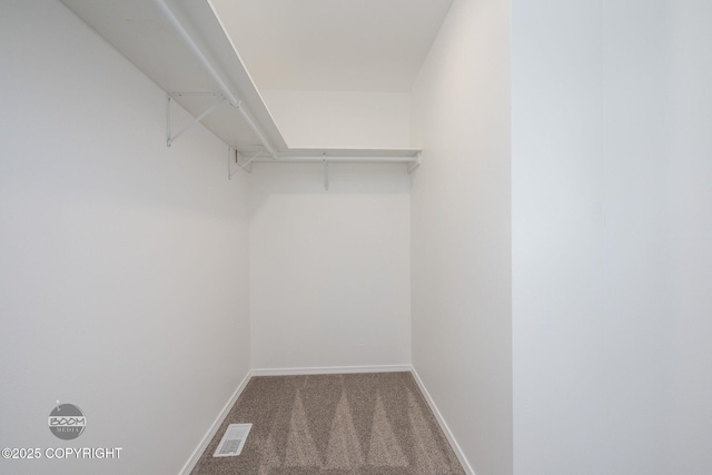 1460 E Esty Dr, Palmer, AK 99645 - spacious closet with carpet flooring