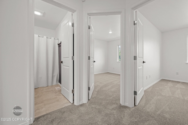 1460 E Esty Dr, Palmer, AK 99645 - hallway with carpet flooring