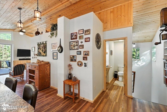 18095 Langille Rd, Cooper Landing, AK 99572 - home office with wood ceiling, lofted ceiling, and dark wood-style flooring
