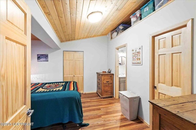 18095 Langille Rd, Cooper Landing, AK 99572 - bedroom with wood ceiling and light wood-type flooring